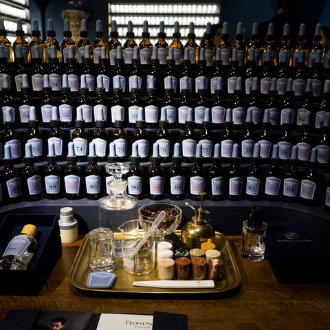 Olfactory Organ - Individual Experience